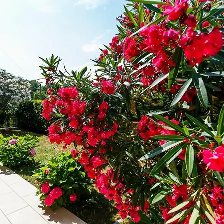Luka 5 Min Walk To The Beach, 5 Min To The Village Apartman Malinska
